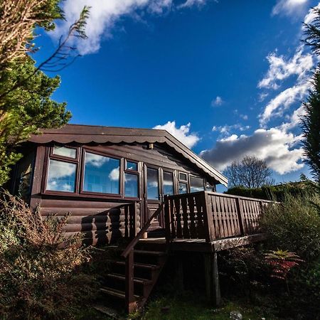 Log Cabin Nr Coed Y Brenin By Seren Short Stays Trawsfynydd 外观 照片